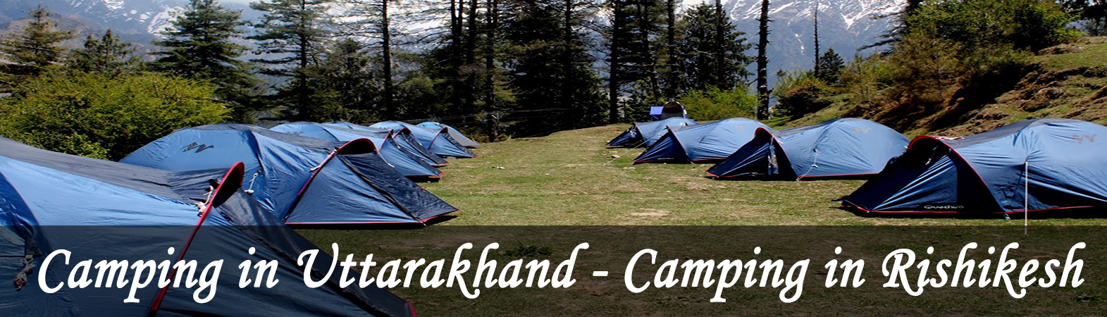 Camping in Uttarakhand, Camping in Rishikesh