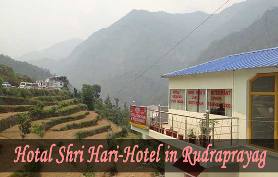 Hotal Shri Hari - Hotel in Rudraprayag