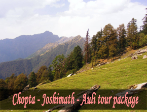 Chopta - Joshimath - Auli Tour package
