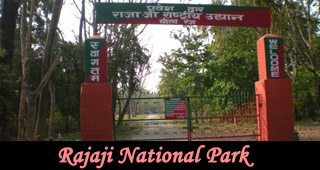 Rajaji National Park Tour in Uttarakhand