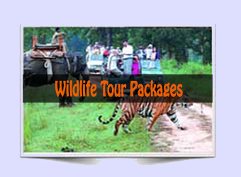 Corbett National Park Tour Packages in Uttarakhand